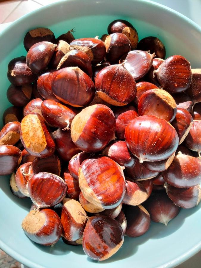 Appartamento Azzurro Cannobio Eksteriør bilde